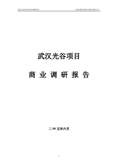 武汉光谷项目商业调研报告