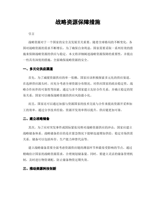 战略资源保障措施