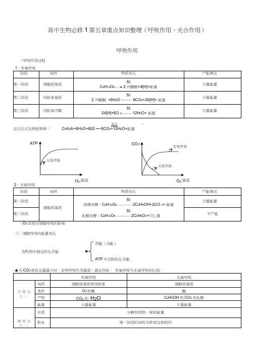 高中生物必修1第五章重点知识整理(呼吸作用、光合作用)