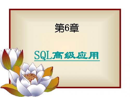 第6章 SQL高级应用