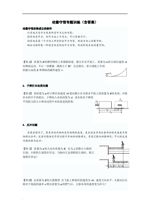 动量守恒专题训练(含答案)