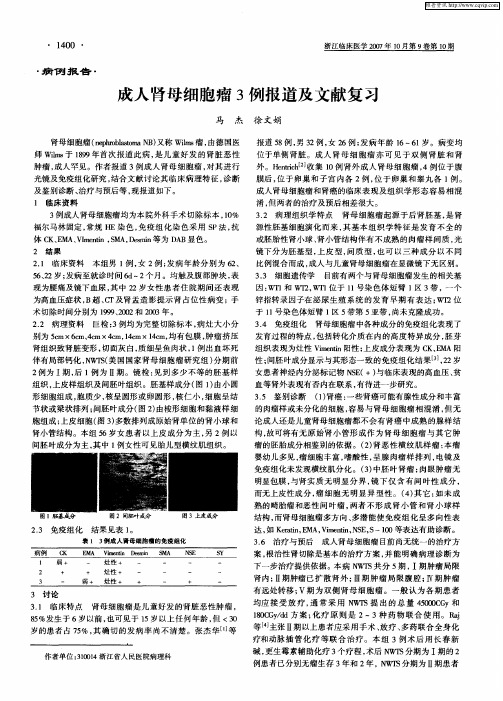 成人肾母细胞瘤3例报道及文献复习