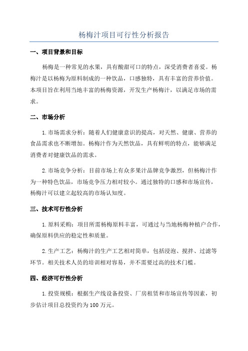 杨梅汁项目可行性分析报告