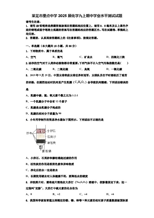 莱芜市重点中学2025届化学九上期中学业水平测试试题含解析