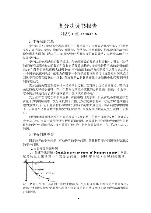 变分法读书报告