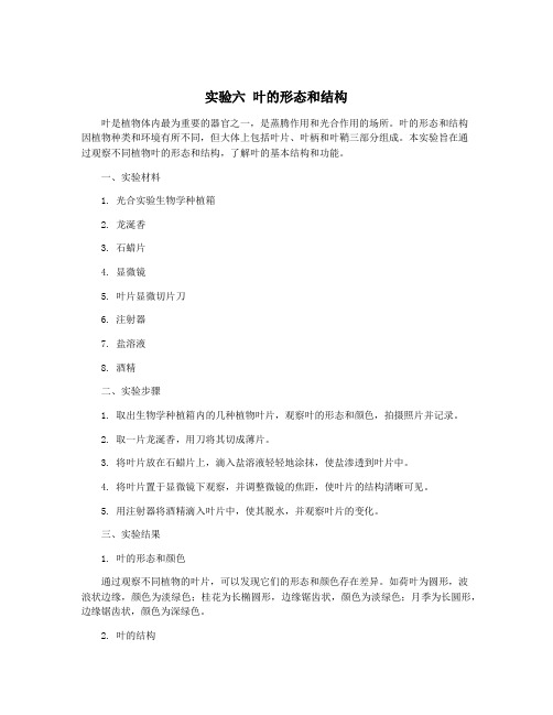 实验六 叶的形态和结构