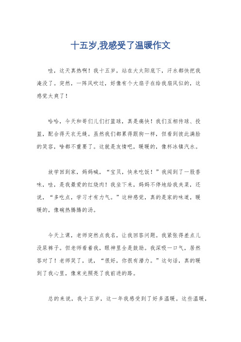 十五岁,我感受了温暖作文