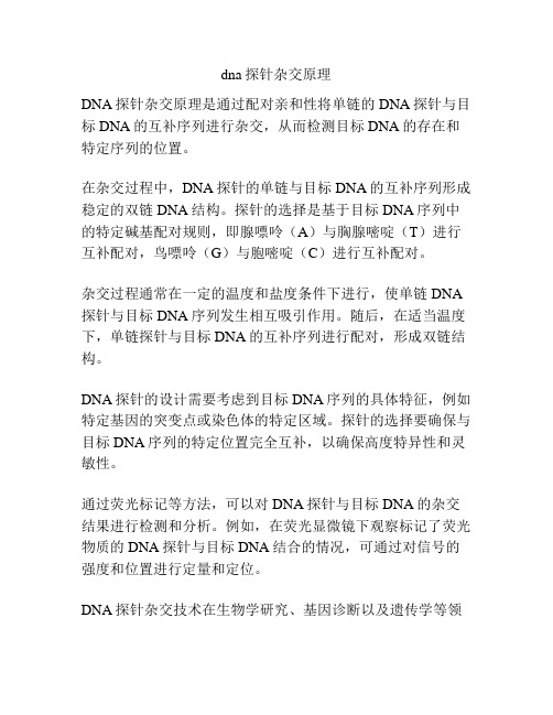 dna探针杂交原理