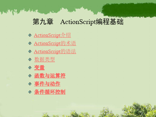 ActionScript编程基础 -Flash