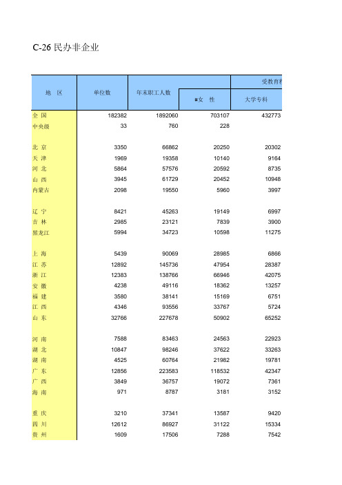 2009年民非统计表