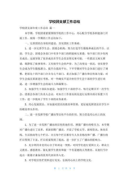 学校团支部工作总结