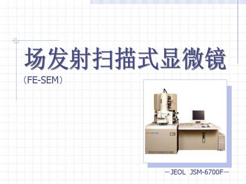 场发射扫描式显微镜SEM资料