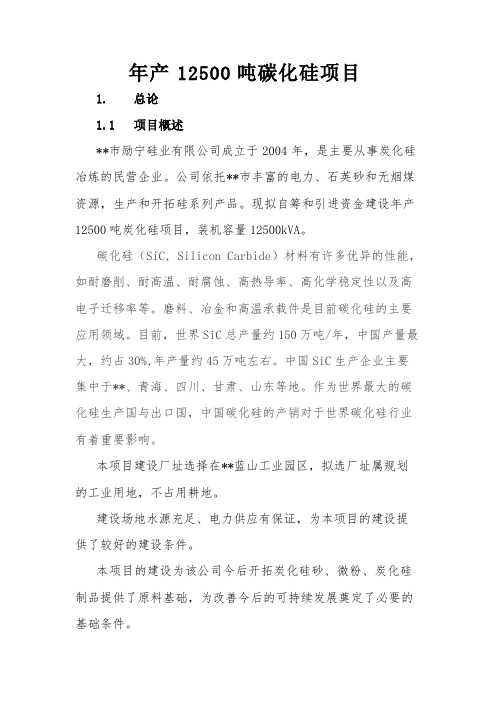 年产12500吨碳化硅项目可行性实施报告