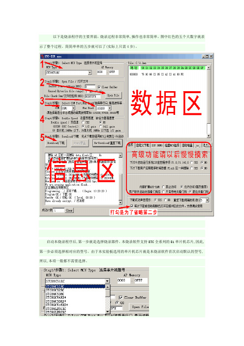 烧录STC单片机程序