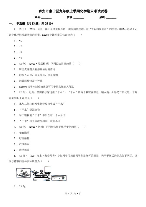 泰安市泰山区九年级上学期化学期末考试试卷