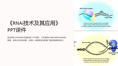 《RNAi技术及其应用》课件