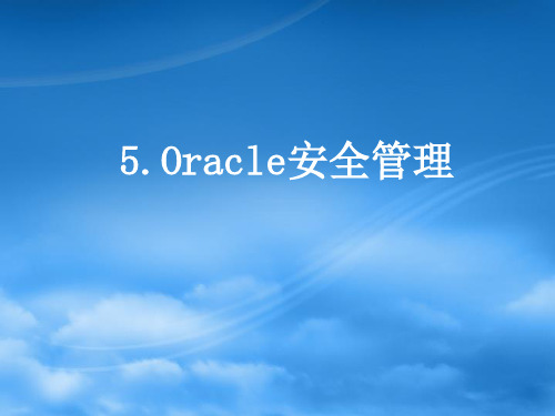 Oracle安全管理