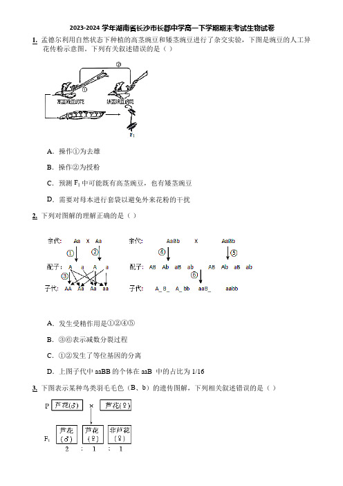 2023-2024学年湖南省长沙市长郡中学高一下学期期末考试生物试卷