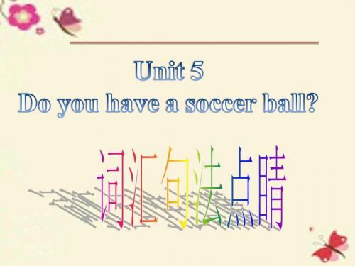 【学海风暴】2015-2016学年七年级英语上册 Unit 5 Do you have a soccer ball词汇句法点睛课件