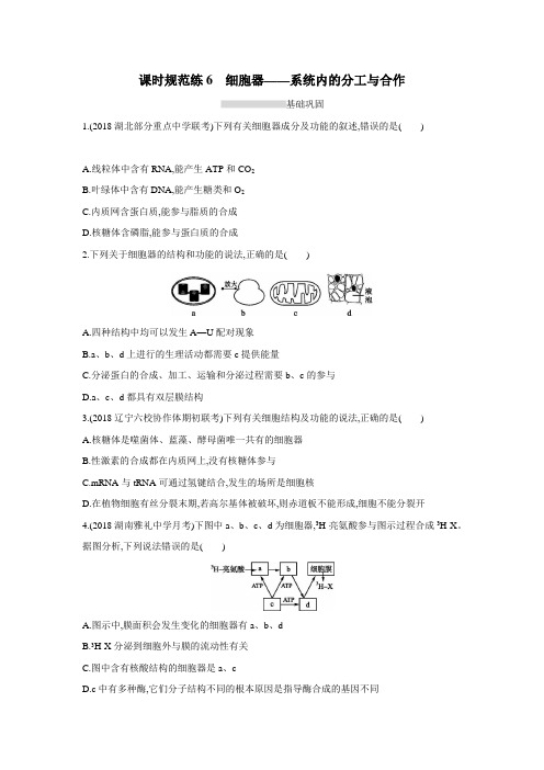 2019高考总复习优化设计1轮生物人教课时规范练6 细胞器——系统内的分工与合作(附答案)