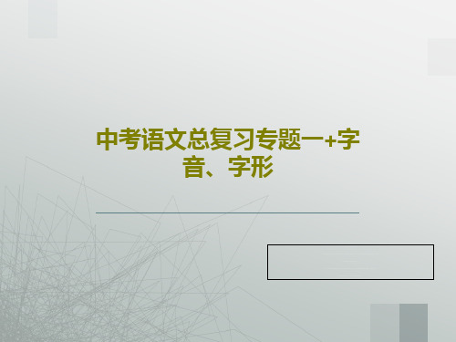 中考语文总复习专题一+字音、字形22页文档