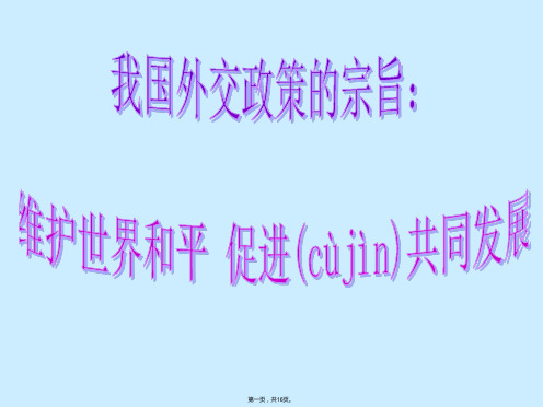 广东省揭阳市第一中学政治必修二课件我国外交政策的宗旨