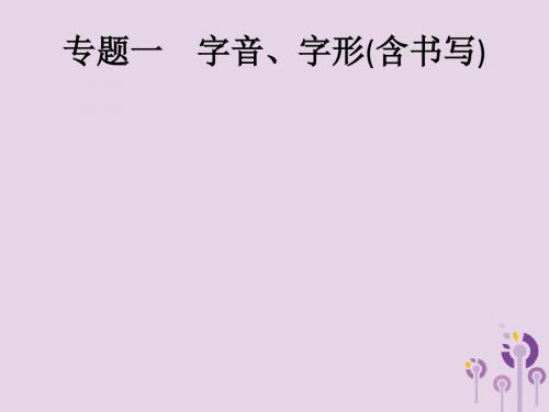 (课标通用)甘肃省2019年中考语文总复习优化设计专题1字音、字形(含书写)课件