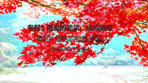 高考生物二轮复习专题1细胞的物质结构基础第1讲细胞的物质基础课件高三全册生物课件