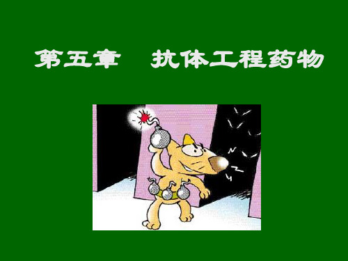 抗体药物培训课件.ppt