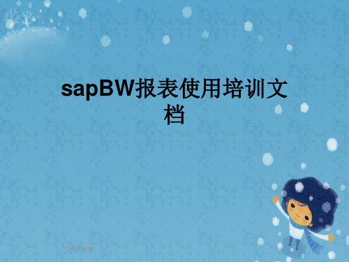 sapBW报表使用培训文档