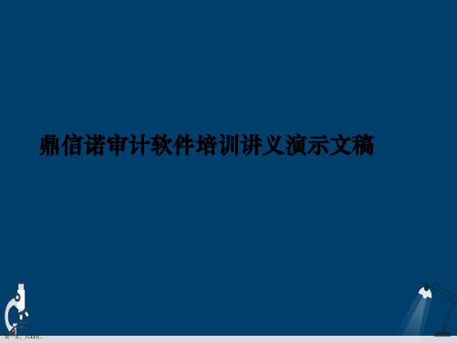 鼎信诺审计软件培训讲义演示文稿