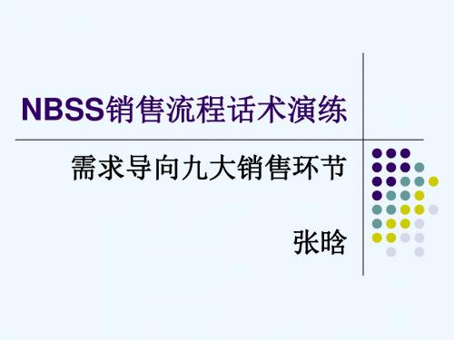 NBSS销售流程演示文稿