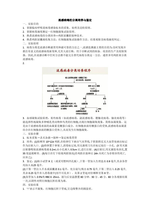 流感病毒的分离培养与鉴定