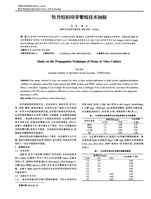 牡丹组织培养繁殖技术初探