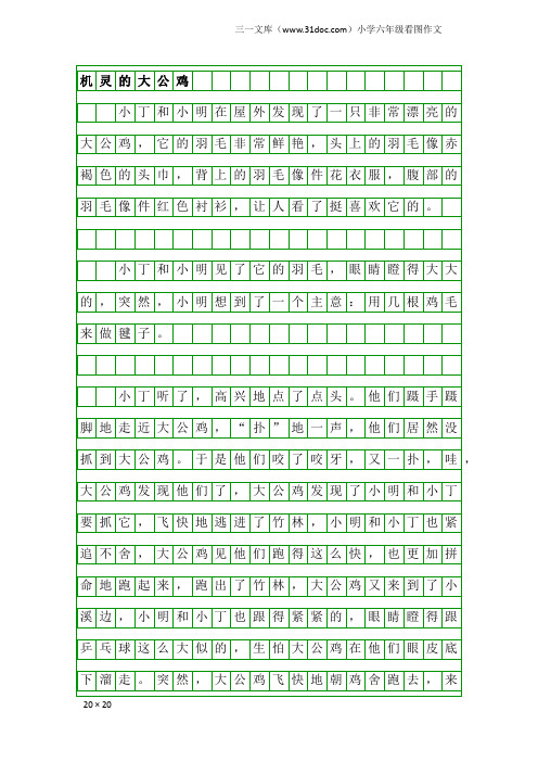 小学六年级看图作文：机灵的大公鸡