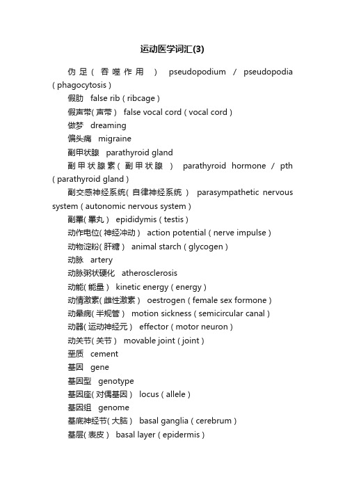 运动医学词汇（3）