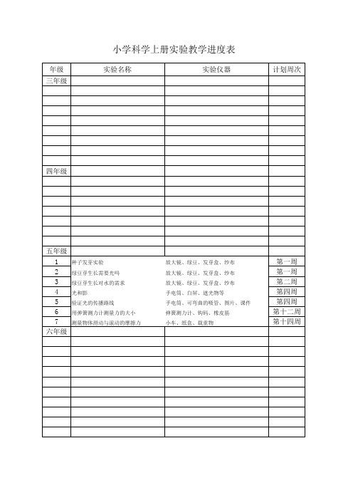 实验计划表模版