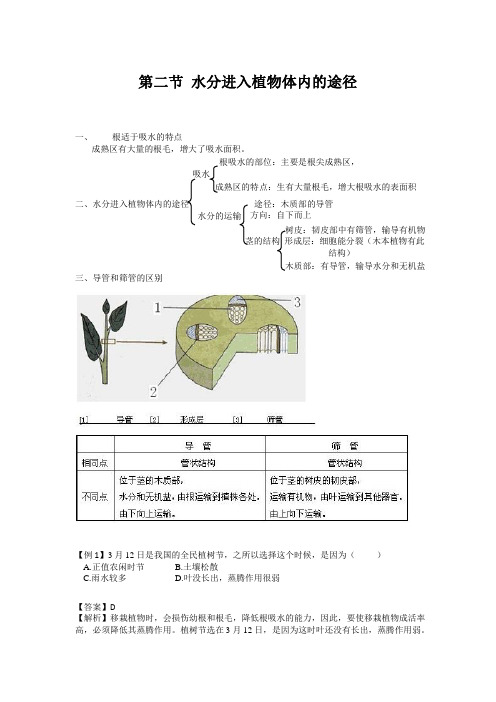 初中生物备课参考 水分进入植物体内的途径