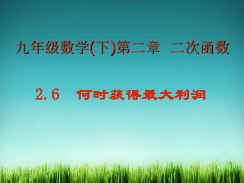 《何时获得最大利润》课件 2022年北师大版数学课件