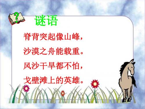 人教版小学语文三年级上册《找骆驼》PPT课件