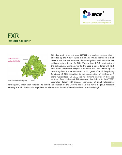 Farnesoid_X_receptor抑制剂_激动剂_MCE