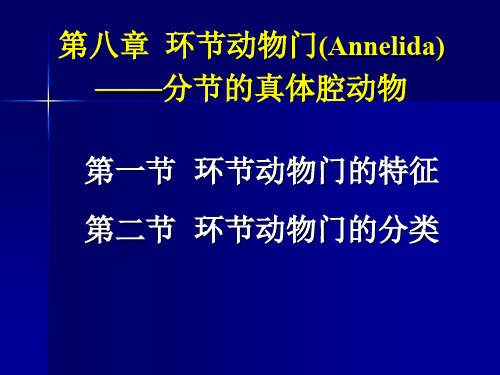 第八章 环节动物门