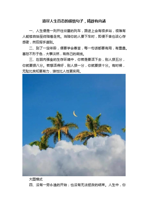 道尽人生百态的感悟句子，精辟有内涵