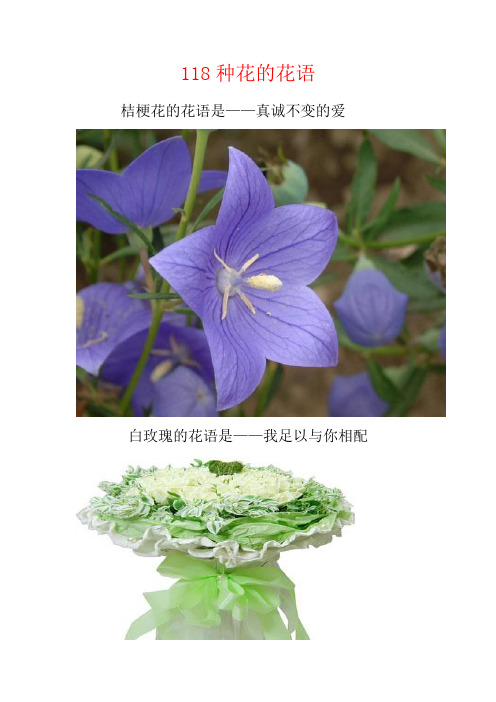 118种花的花语