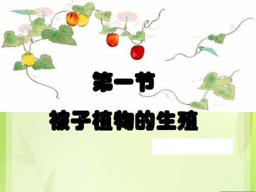 《一、被子植物的有性生殖》