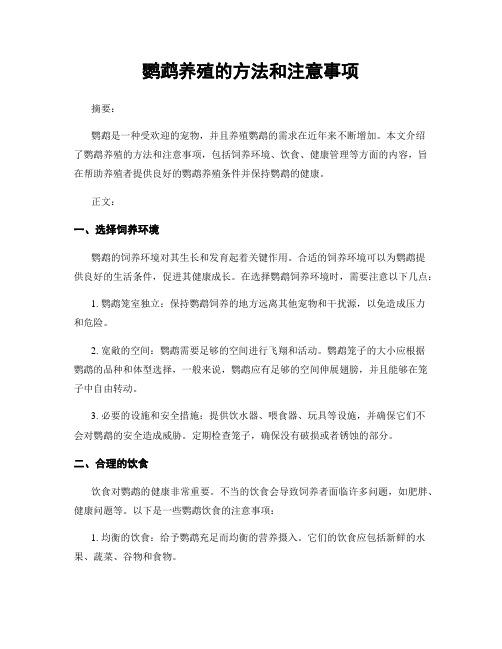 鹦鹉养殖的方法和注意事项