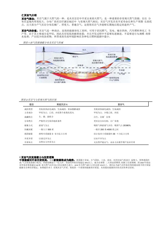 页岩气基础知识.docx