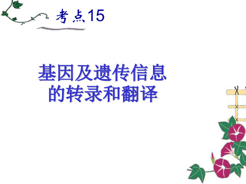 考点10 基因及遗传信息的转录和翻译