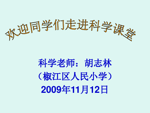 教科版小学科学四年级上册第四单元身体的结构PPT课件