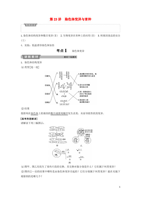 高考生物一轮复习 第七单元 生物的变异、育种和进化 第23讲 染色体变异与育种学案